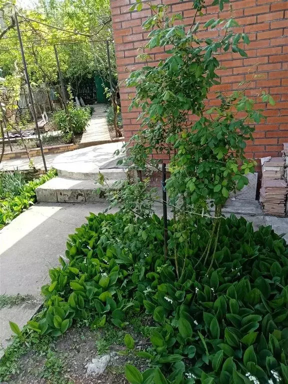 Дом в Тимашевск, микрорайон Южный, Крестьянская улица, 2А (86 м) - Фото 0