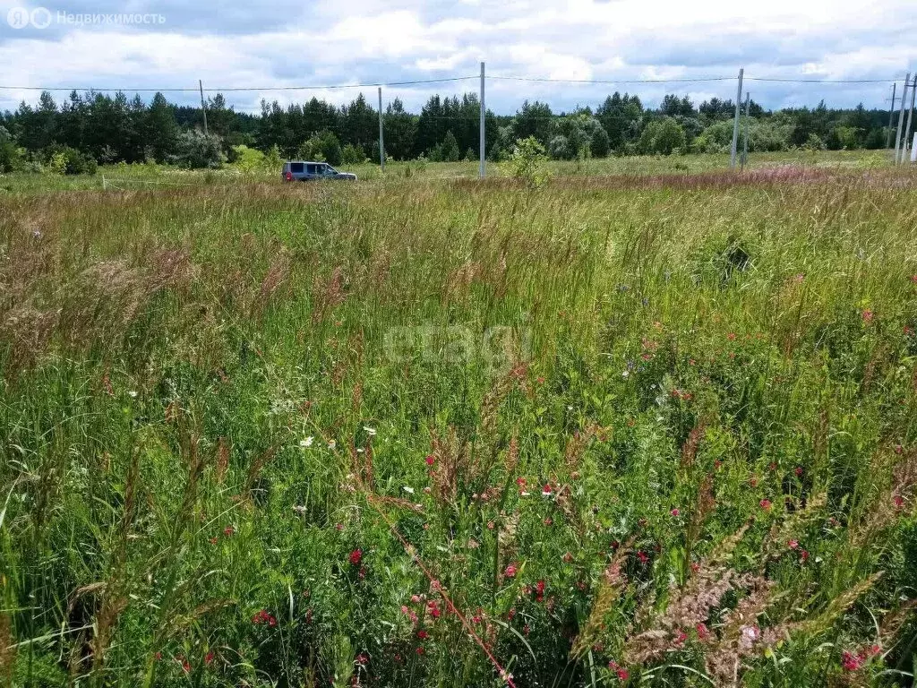 Участок в село Новая Беденьга, Родниковая улица (5.9 м) - Фото 1