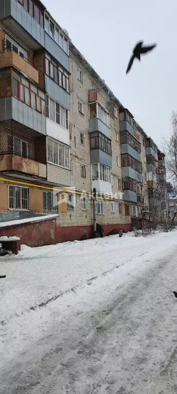 1-к кв. Ивановская область, Кохма ул. Ивановская, 40/1 (21.2 м) - Фото 1