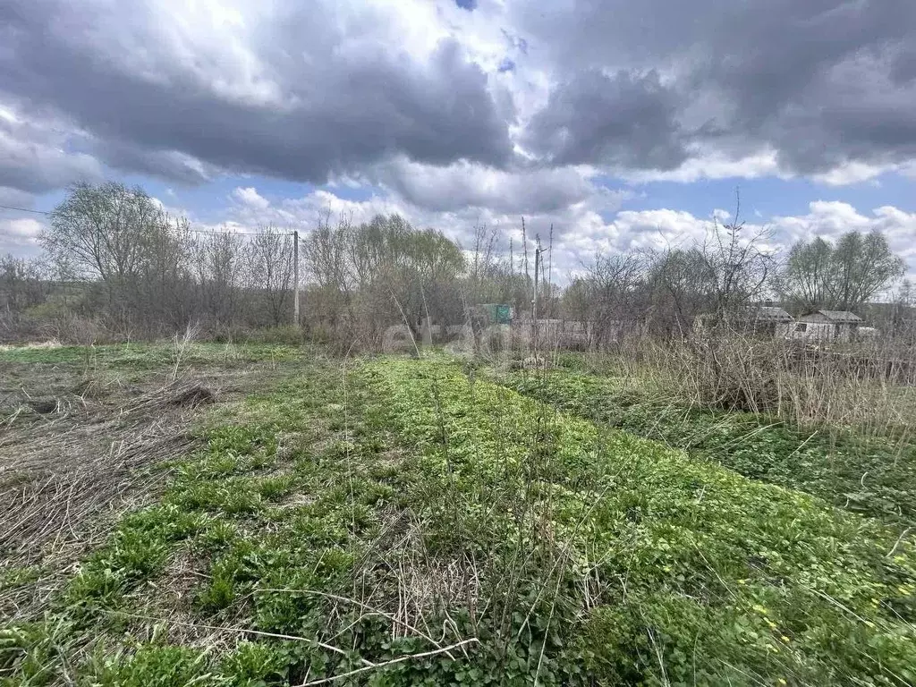 Участок в Владимирская область, Муром с. Дмитриевская Слобода, ул. ... - Фото 1