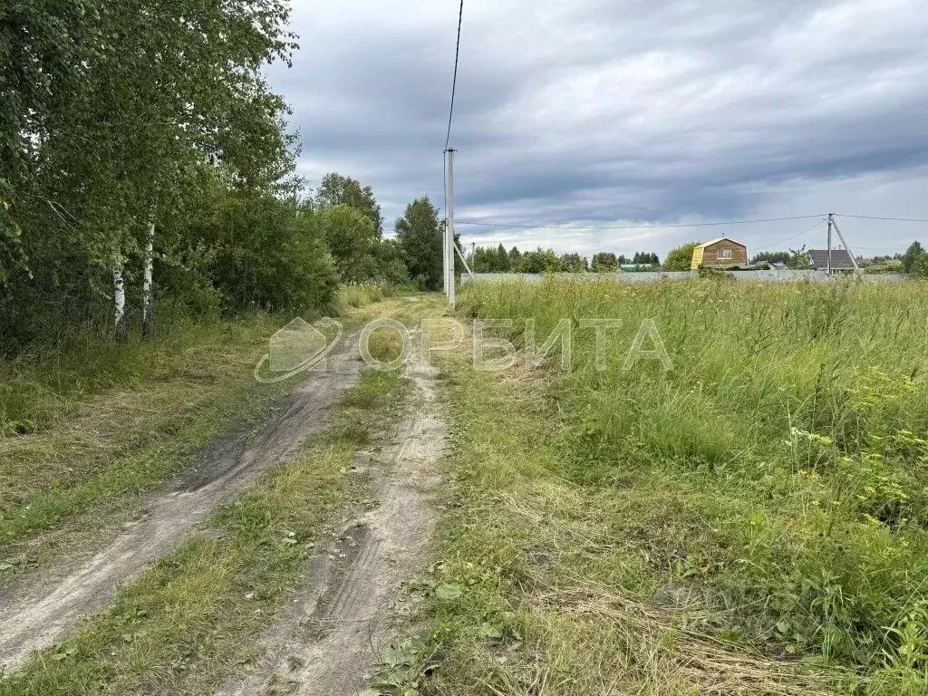 Участок в Тюменская область, Тюменский район, Горошинка-3 СНТ  (10.0 ... - Фото 1