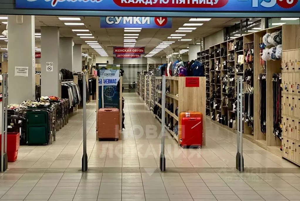 Помещение свободного назначения в Омская область, Омск ул. Пушкина, 59 ... - Фото 1