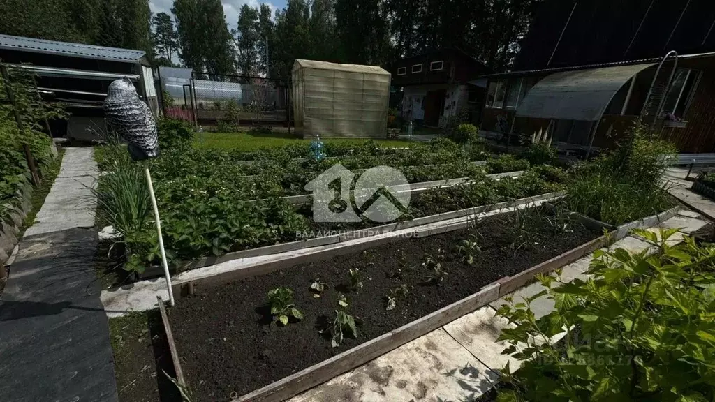 Дом в Новосибирская область, Новосибирский район, Барышевский ... - Фото 1