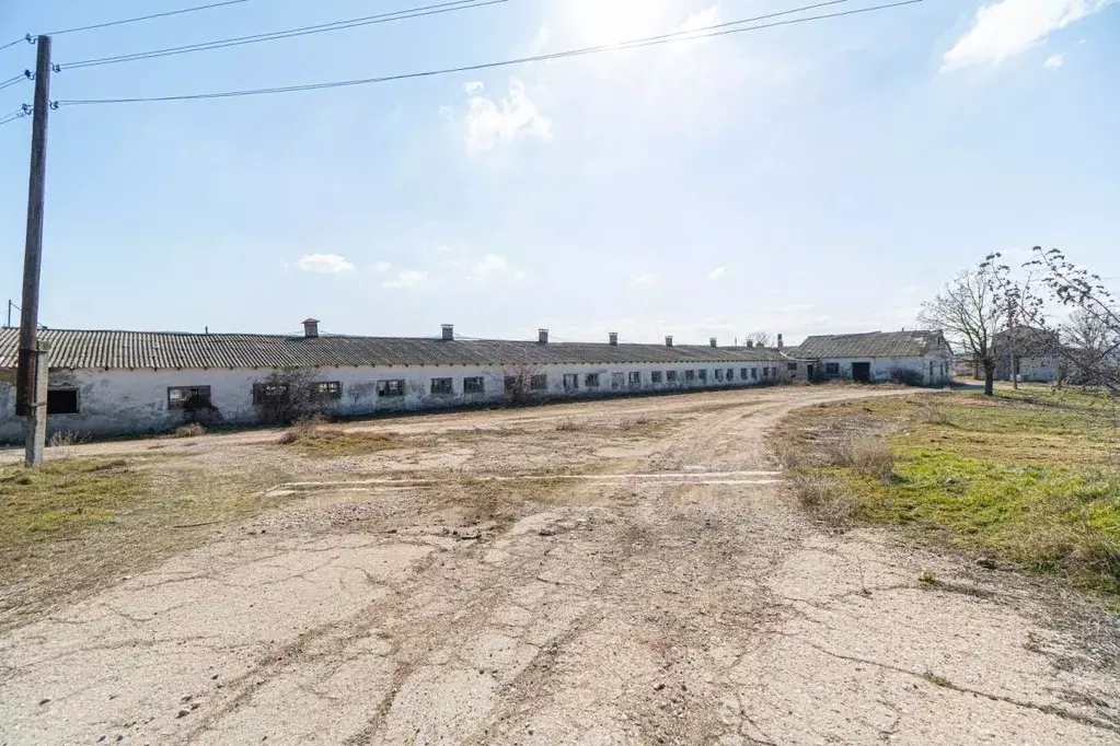 Производственное помещение в Крым, Бахчисарайский район, Долинненское ... - Фото 2