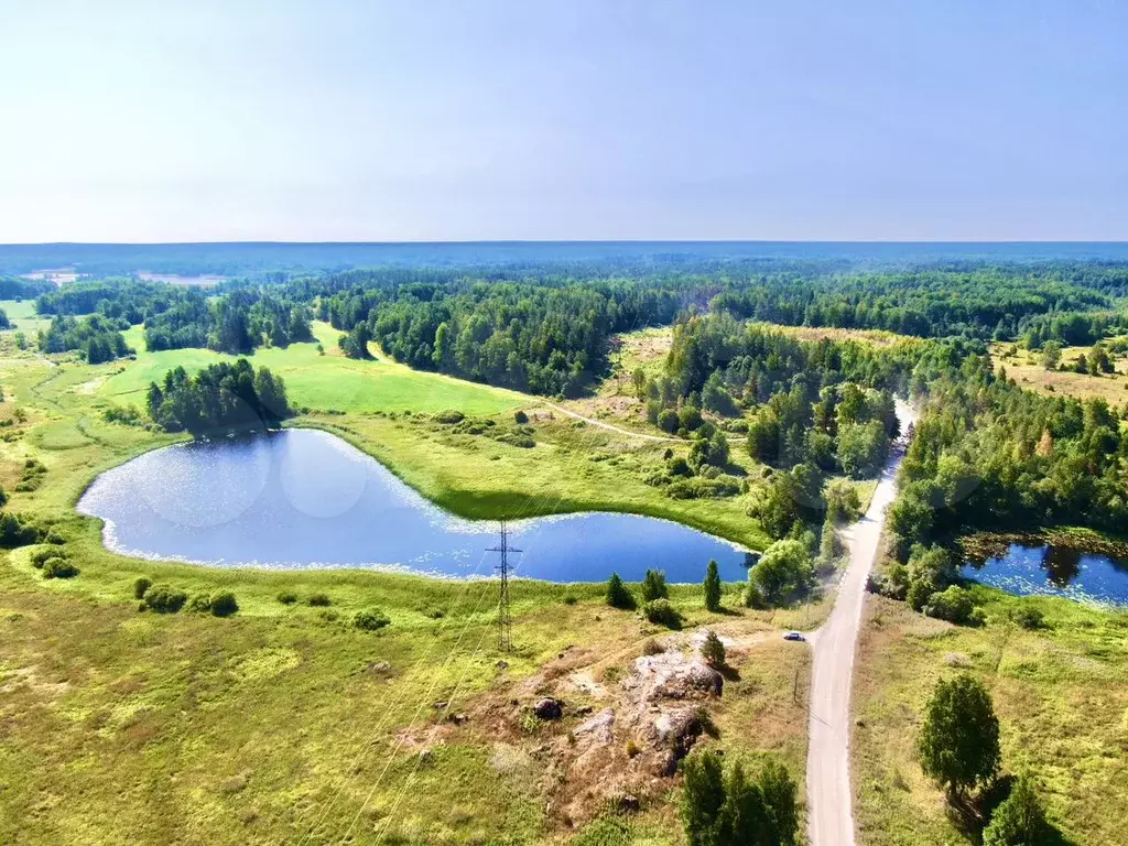 Участок 2,5 га (СНТ, ДНП) - Фото 1