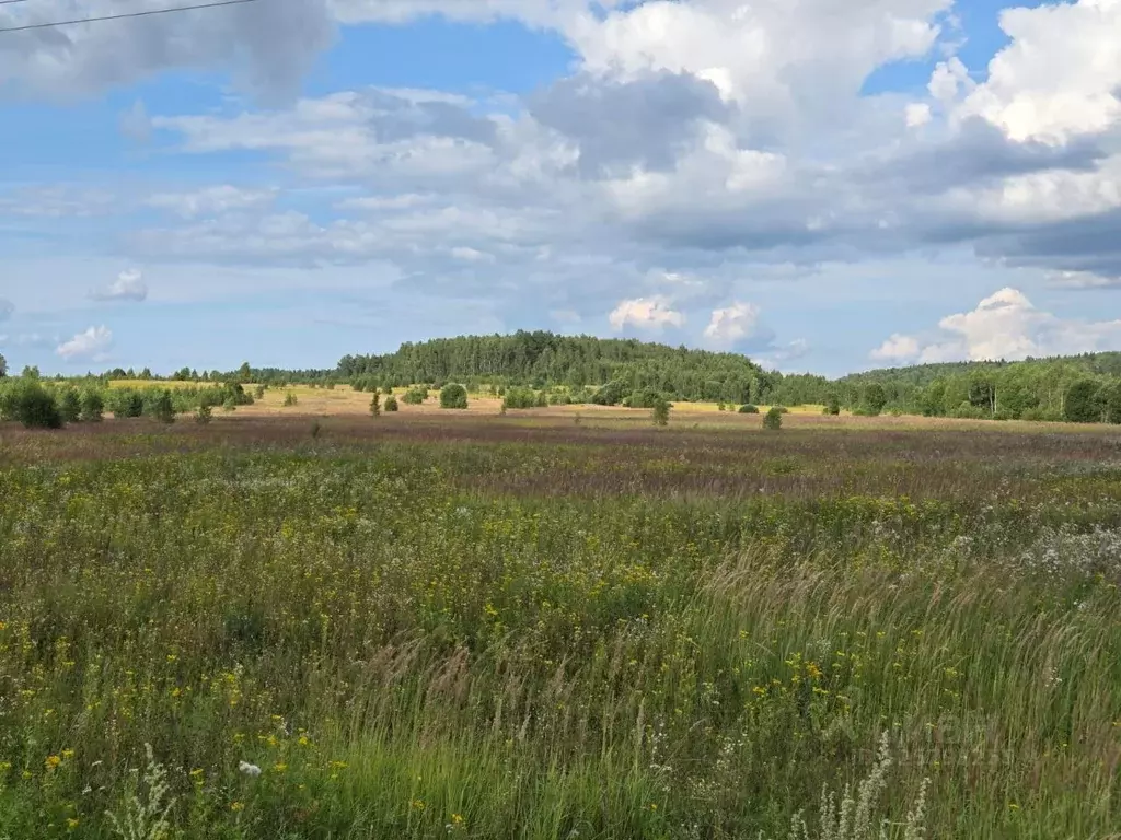 Участок в Калужская область, Дзержинский муниципальный округ, Барсуки ... - Фото 1
