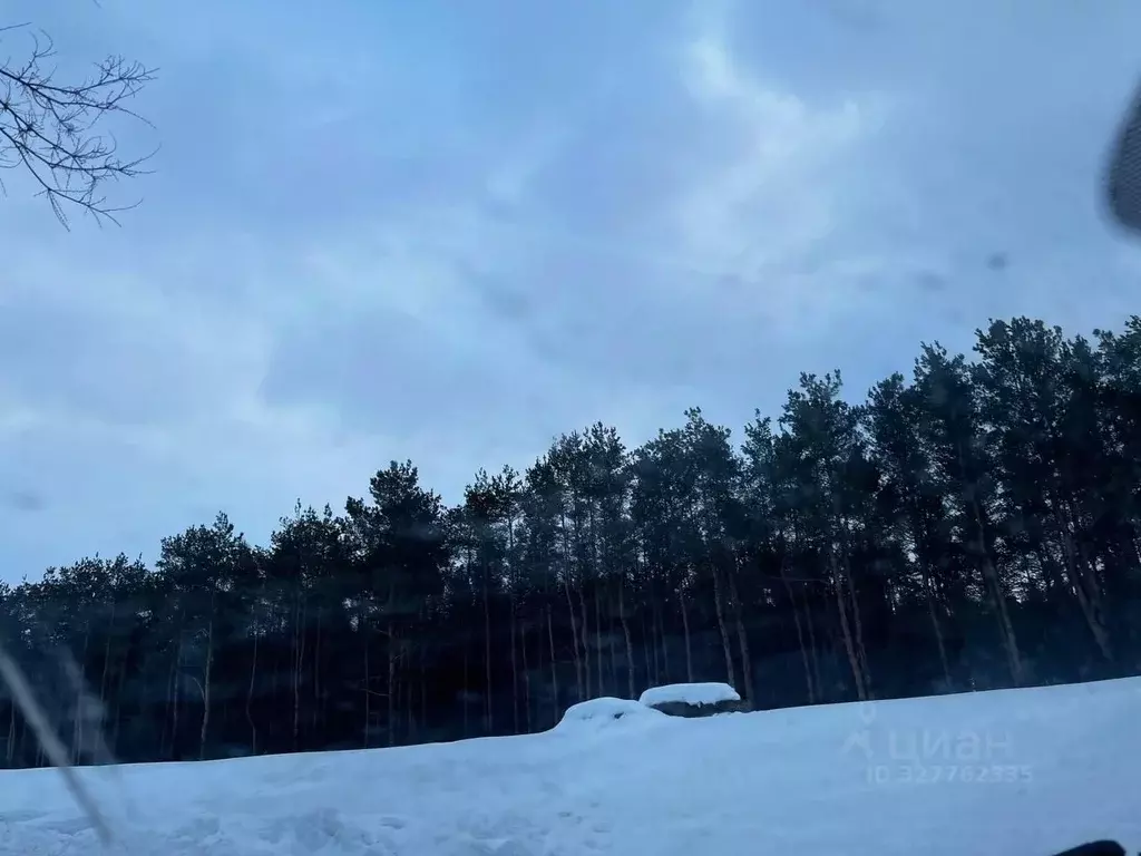 Участок в Саратовская область, Энгельсский район, Красноярское ... - Фото 1