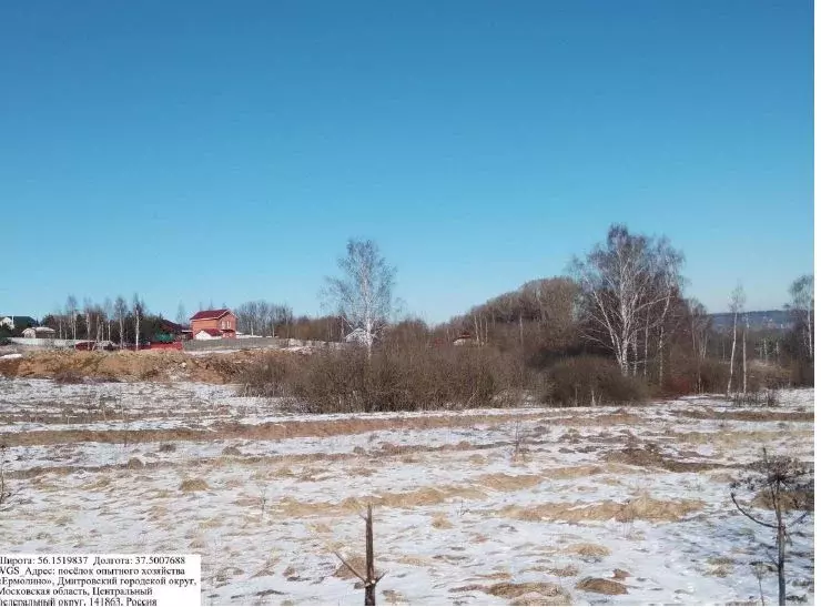 Участок в Московская область, Дмитровский муниципальный округ, пос. ... - Фото 1