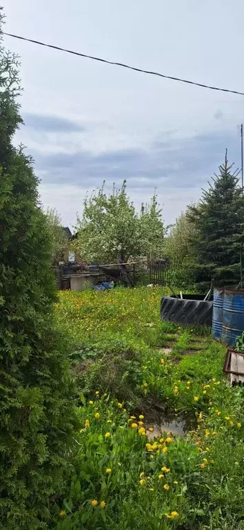 Дом в Омская область, Омск СОСН Электрон тер., аллея 1-я (20 м) - Фото 1