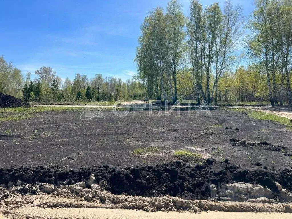 Участок в Тюменская область, Тюменский район, Новокаменский кп ул. ... - Фото 1