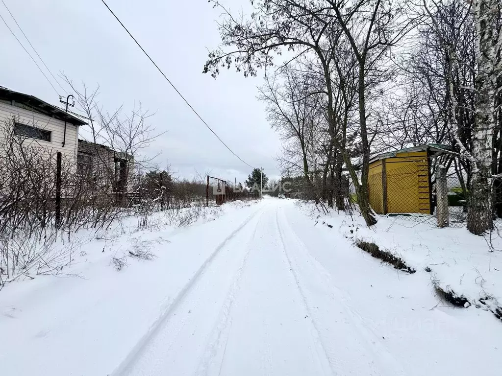 Участок в Воронежская область, Рамонский район, с. Новоживотинное ул. ... - Фото 1
