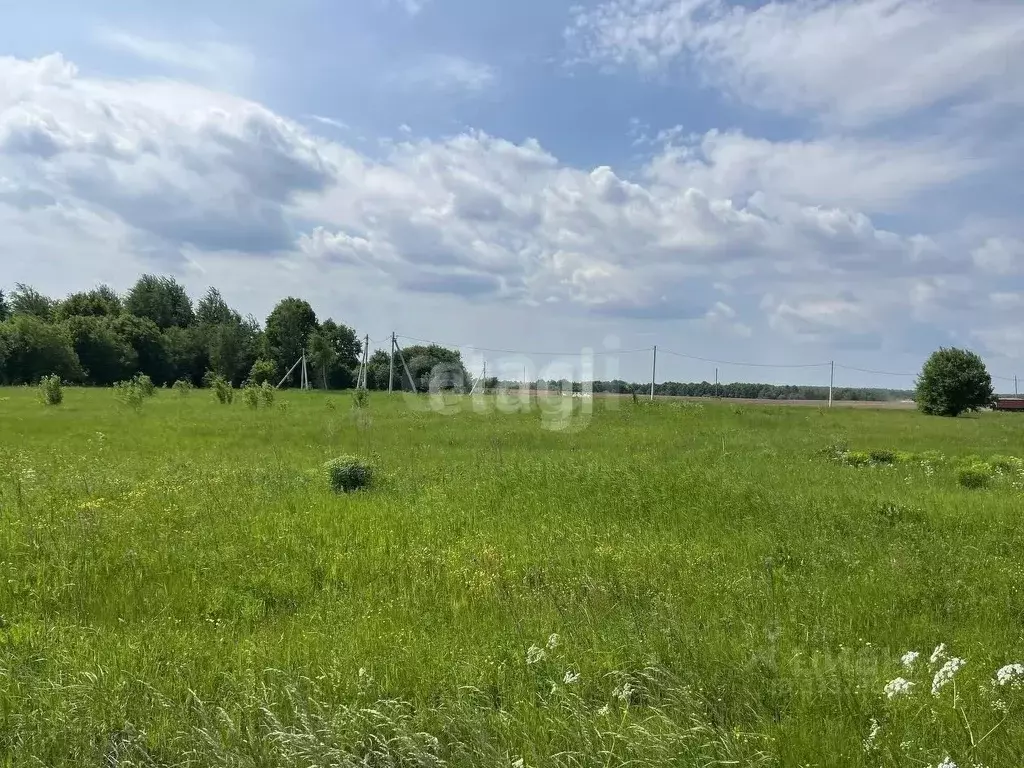 Участок в Московская область, Коломна городской округ, с. Белые ... - Фото 1