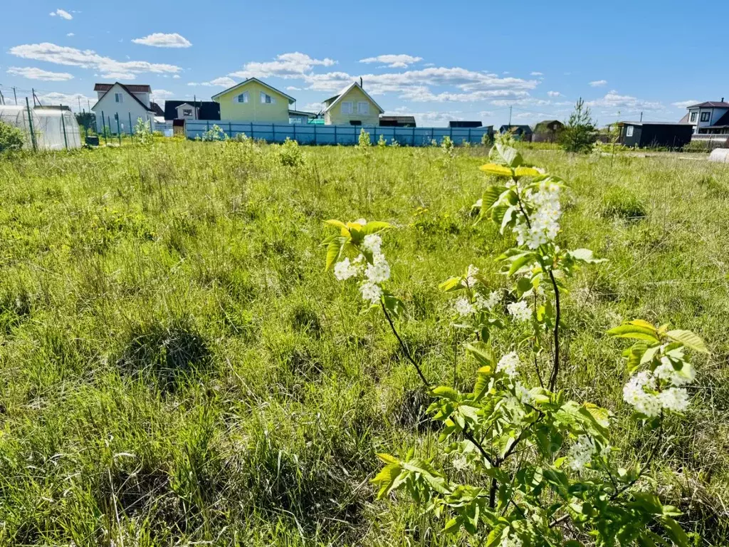 Участок в Ленинградская область, Гатчинский район, Рыбицы-1 кп 71 ... - Фото 1