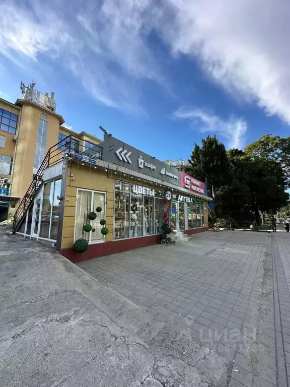 Помещение свободного назначения в Краснодарский край, Сочи ул. Ленина, ... - Фото 2
