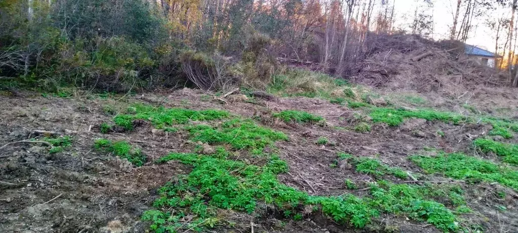 Участок в Псковская область, Псков ул. Толбинская (15.0 сот.) - Фото 2
