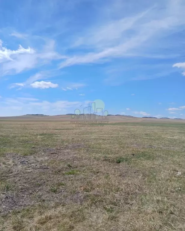 Участок в Иркутская область, Эхирит-Булагатский район, пос. ... - Фото 1