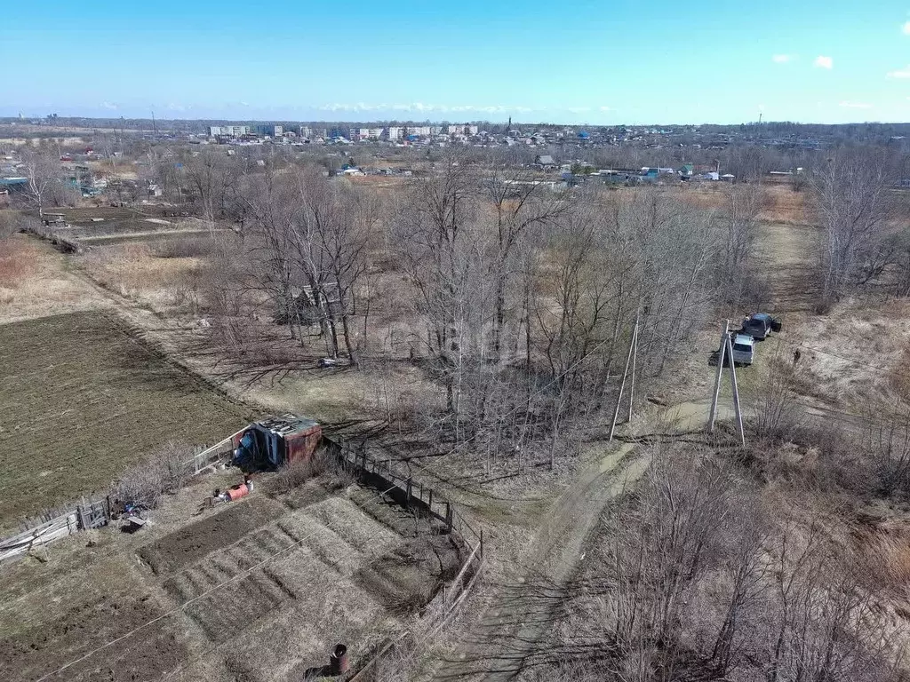 Участок в Хабаровский край, Хабаровский район, Мичуринское с/пос, ... - Фото 1