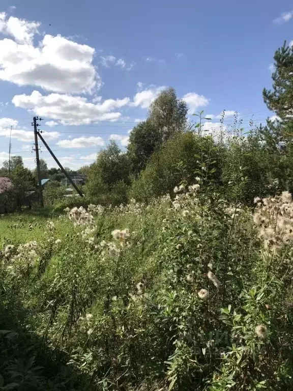 Участок в Костромская область, Красносельский район, Чапаевское с/пос, ... - Фото 2