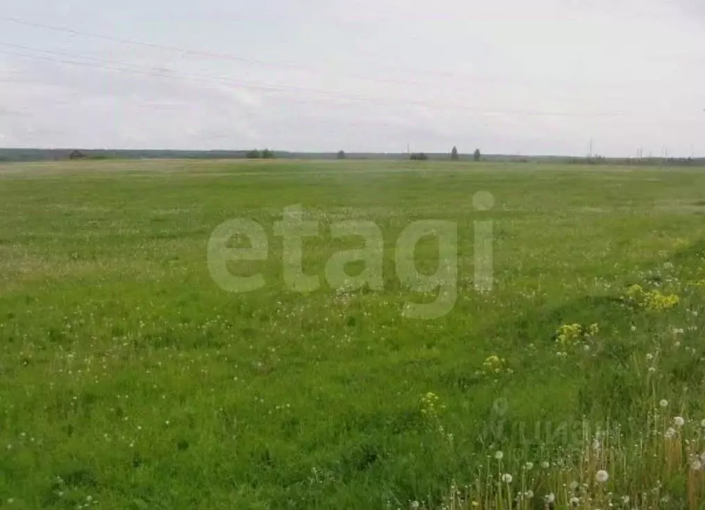 Участок в Краснодарский край, Ейск ул. Александра Вострикова (6.0 ... - Фото 2