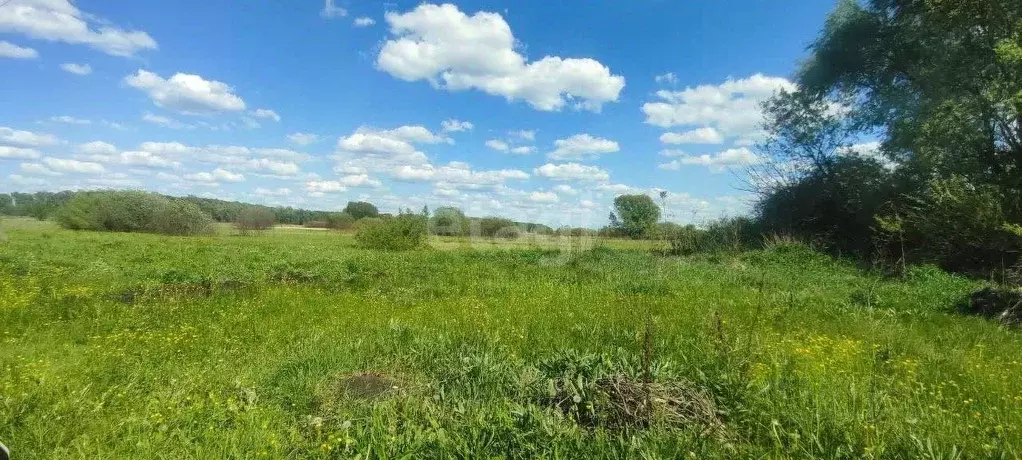 Участок в Воронежская область, с. Новая Усмань ул. Крамского (8.0 ... - Фото 0