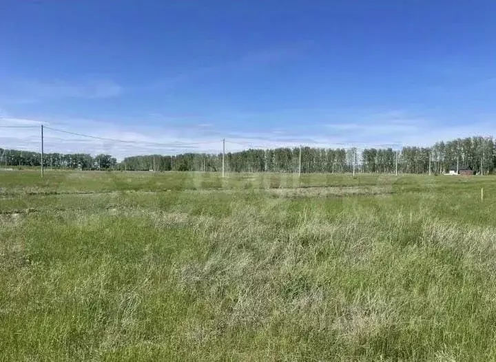 Участок в Омская область, Омский район, с. Усть-Заостровка Степная ул. ... - Фото 1