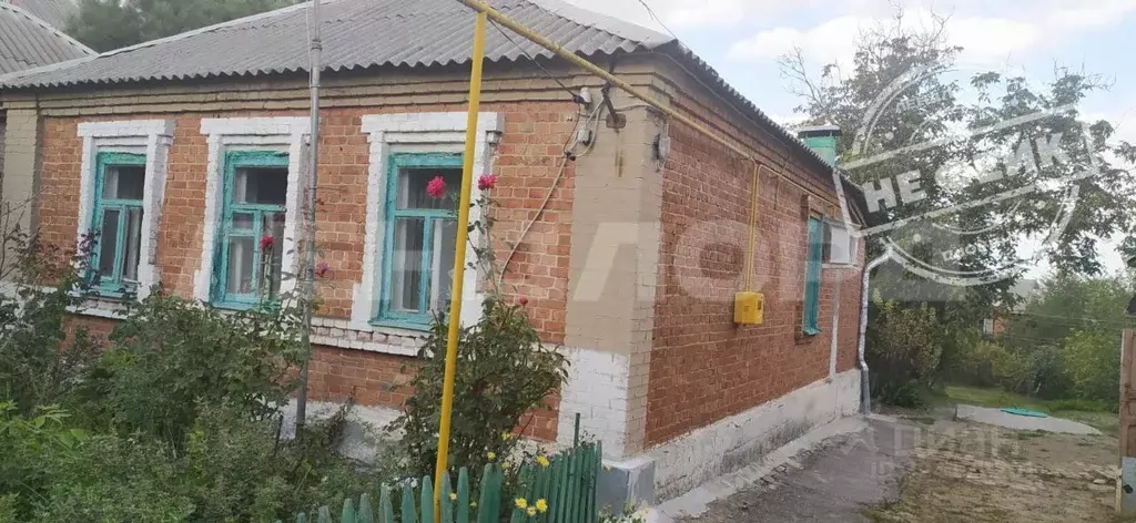 Дом в Ростовская область, Новочеркасск ул. Добролюбова (47 м) - Фото 1