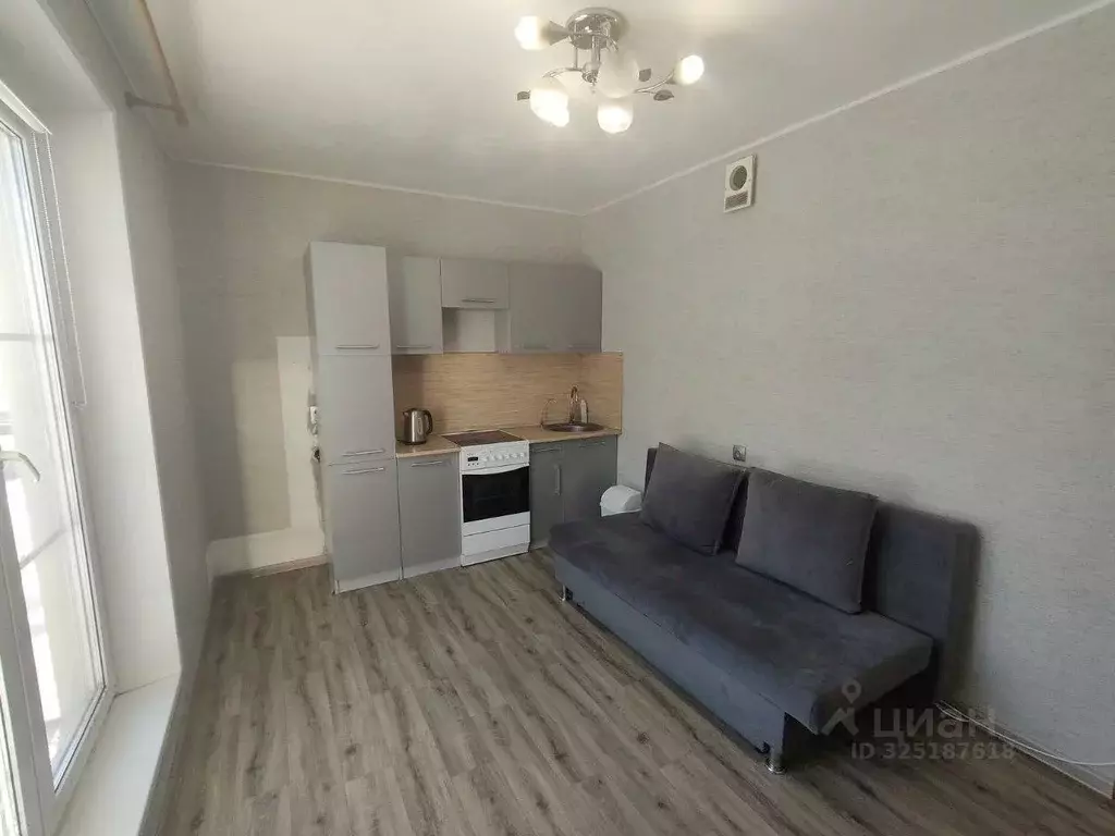 1-к кв. Челябинская область, Сосновский муниципальный округ, д. ... - Фото 2