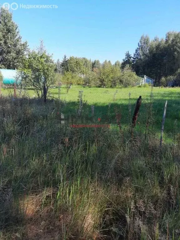 Участок в Ярославская область, Некрасовский муниципальный округ, ... - Фото 1