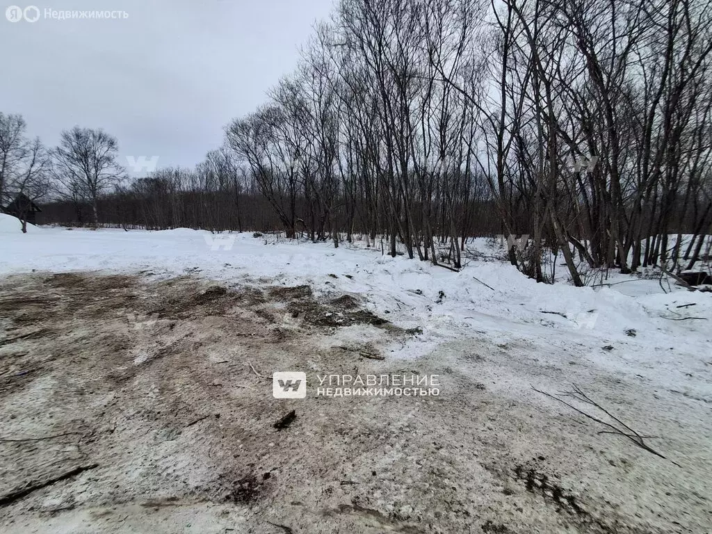 Участок в Сахалинская область, Южно-Сахалинск (6.62 м) - Фото 2
