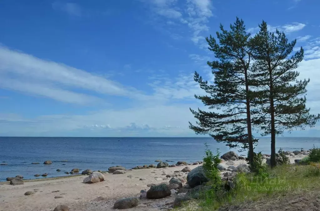 Участок в Санкт-Петербург пос. Репино, Песочная ул., 8 (20.0 сот.) - Фото 1