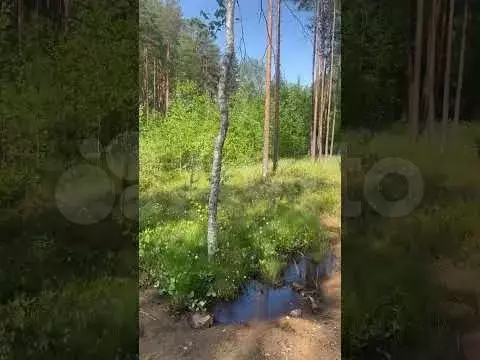 Участок 15 сот. (ИЖС) - Фото 1