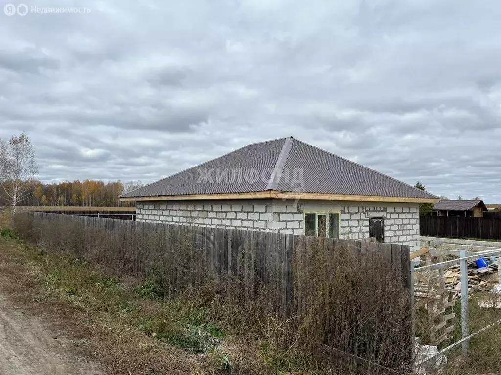 Дом в Толмачёвский сельсовет, СНТ Рябинка Обская, Западная улица (89.2 ... - Фото 0