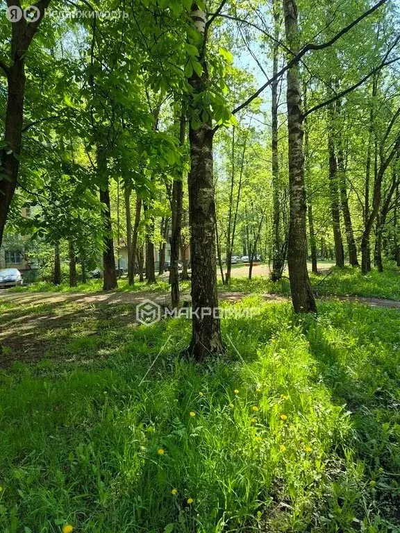 2-комнатная квартира: Санкт-Петербург, улица Карпинского, 34к6 (50 м) - Фото 2