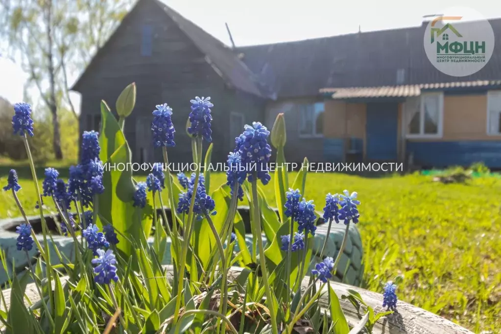 Дом в Карелия, Прионежский район, пос. Новая Вилга ул. Мелиоративная ... - Фото 0