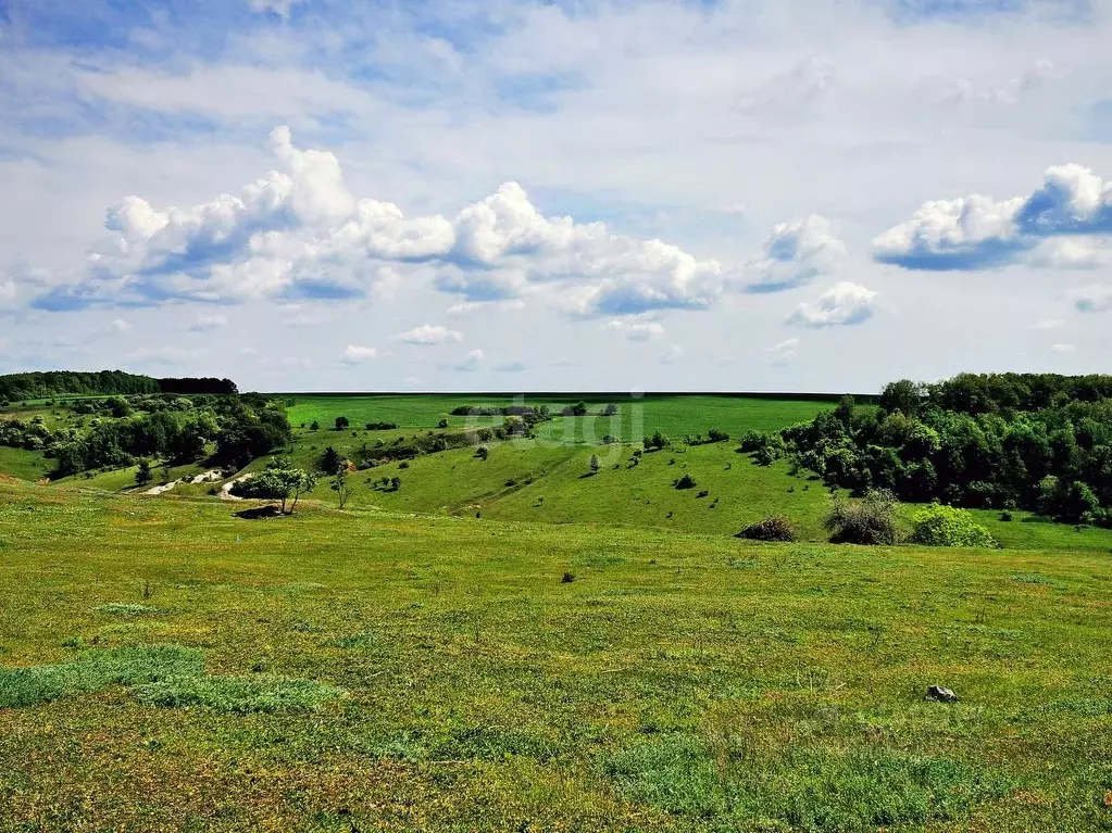 Участок в Белгородская область, Ровеньский район, Айдарское с/пос, с. ... - Фото 1