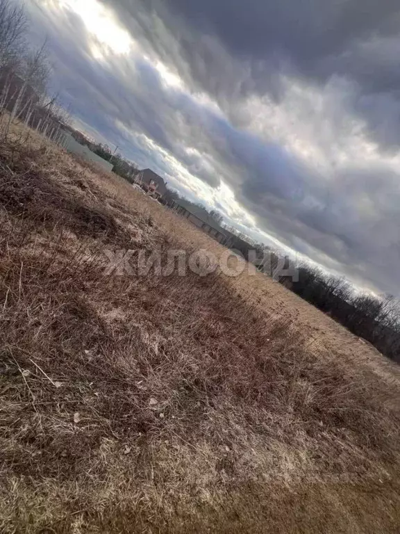 Участок в Тульская область, Тула городской округ, пос. Обидимо пл. ... - Фото 0