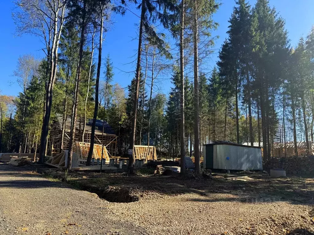 Участок в Московская область, Дмитровский муниципальный округ, ... - Фото 2