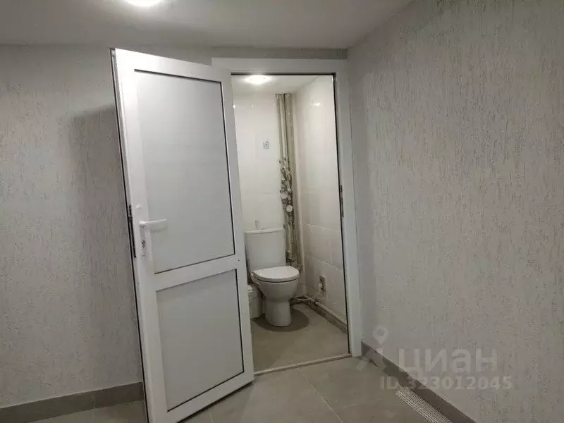 Офис в Нижегородская область, Нижний Новгород Тверская ул., 20 (54 м) - Фото 2