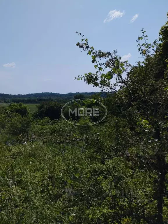 Участок в Калининградская область, Зеленоградский муниципальный округ, ... - Фото 1