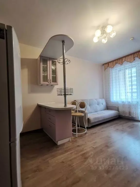 Студия Санкт-Петербург просп. Ветеранов, 169к2 (24.2 м) - Фото 0
