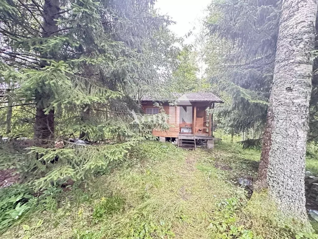 Участок в Ленинградская область, Всеволожский район, Куйвозовское ... - Фото 0