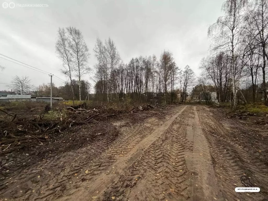 Участок в Московская область, городской округ Щёлково, деревня ... - Фото 2