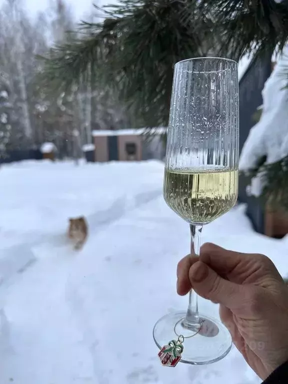 Дом в Тюменская область, Нижнетавдинский район, с. Тюнево ул. ... - Фото 2