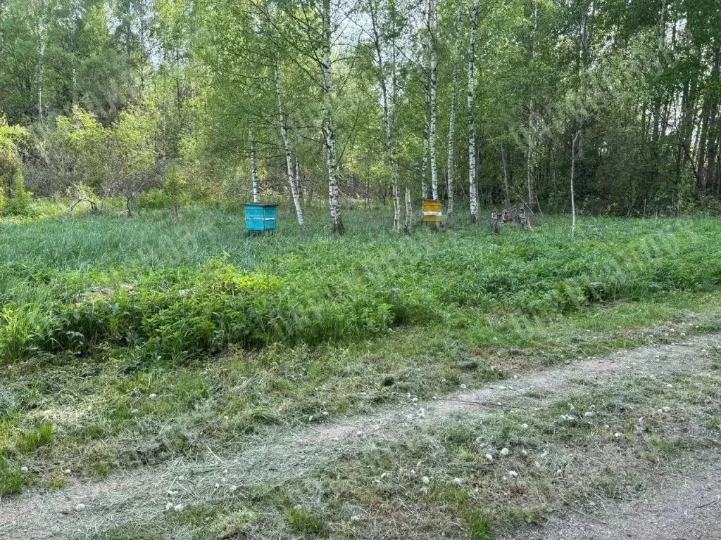 Участок в Тверская область, Калининский муниципальный округ, Мечта ... - Фото 1