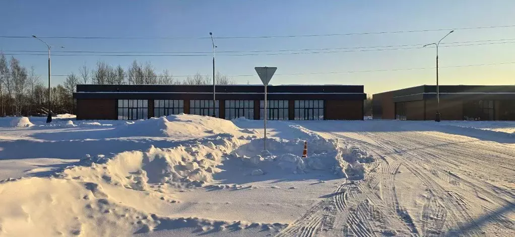 Торговая площадь в Московская область, Воскресенск городской округ, д. ... - Фото 2