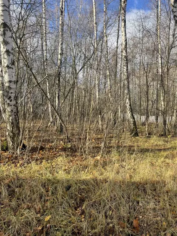 Участок в Московская область, Красногорск городской округ, д. Глухово  ... - Фото 0