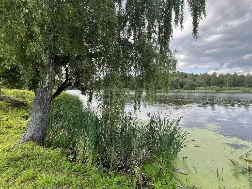 Участок в Московская область, Щелково городской округ, Троицкий мкр ... - Фото 1