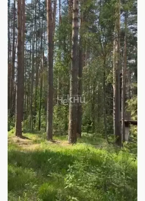 Участок в Нижегородская область, Бор муниципальный округ, д. Зуево  ... - Фото 2