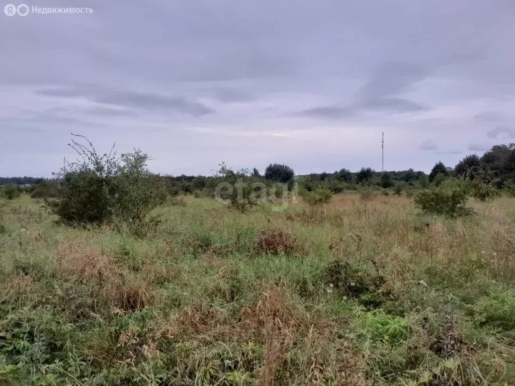 Участок в Калининградская область, Гурьевский муниципальный округ, ... - Фото 1