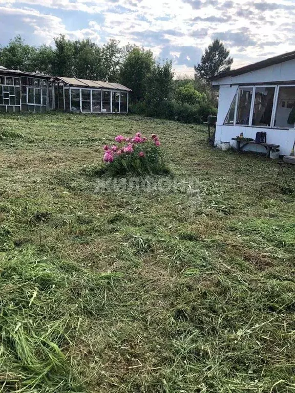 Участок в Томская область, Томск Зайчик садовое товарищество,  (6.66 ... - Фото 0